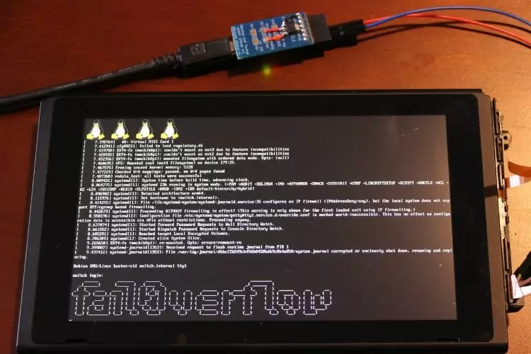 Хакерам удалось запустить Linux на Nintendo Switch
