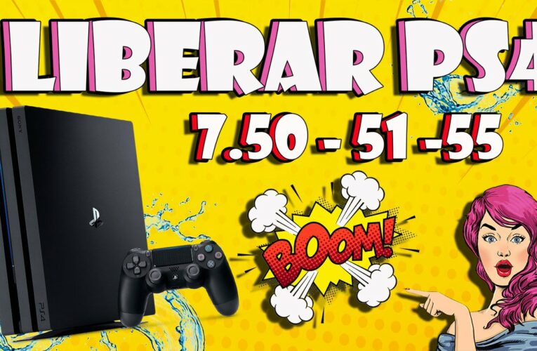 PS4 HEN 7.55 PS4 7.55 Установка MiraCFW или GoldHen на любую модель PlayStation 4